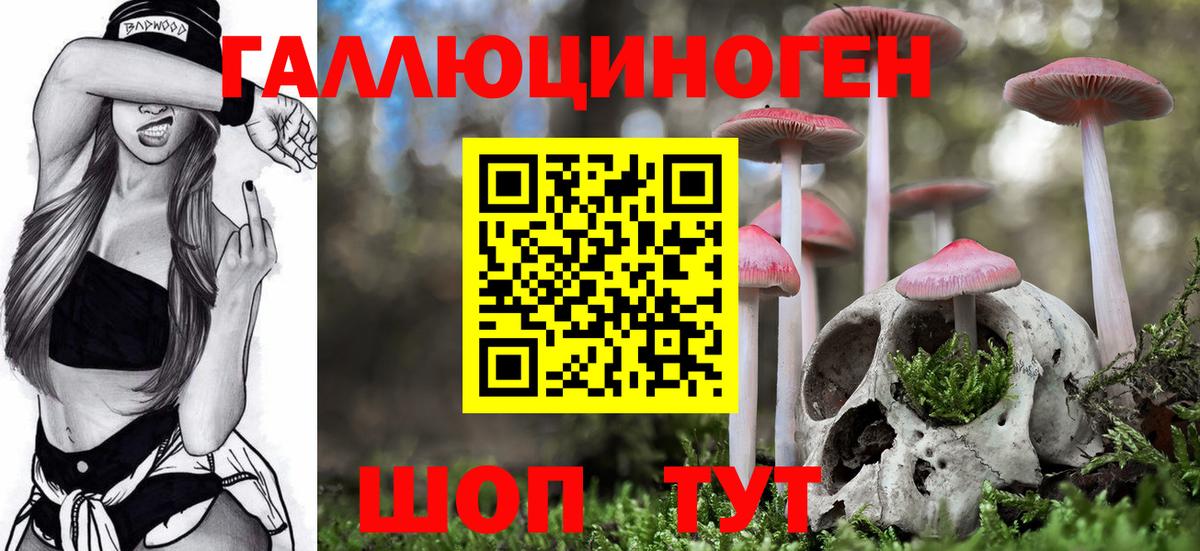 Псилоцибиновые грибы мухоморы Тулун