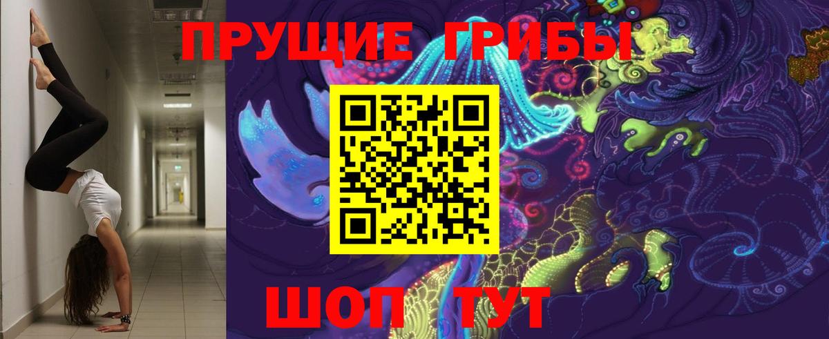 Галлюциногенные грибы GOLDEN TEACHER  Вход с VPN  Тулун 